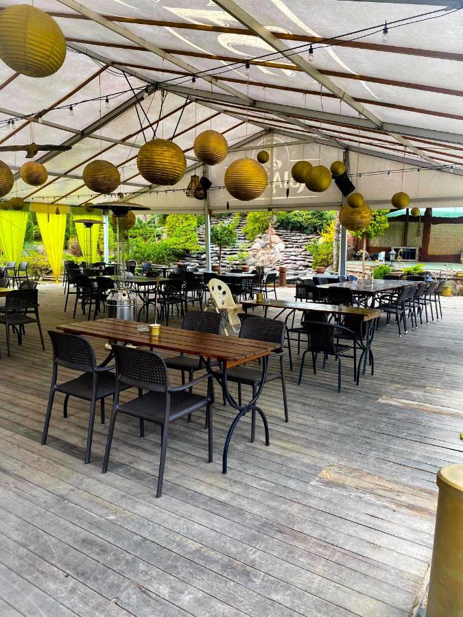 Kaktusik Hotell Augustów Exteriör bild