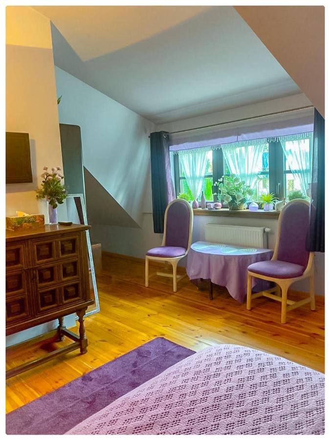 Kaktusik Hotell Augustów Exteriör bild